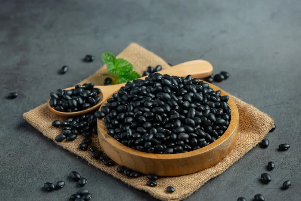 Protein in Black Beans