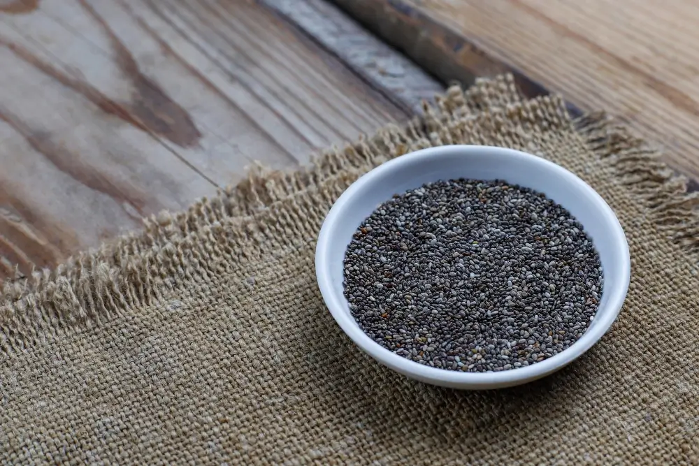 Protein in Chia Seeds