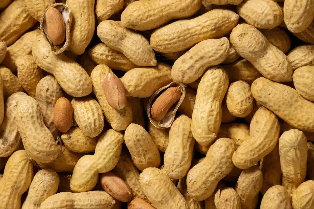 Protein in Peanuts