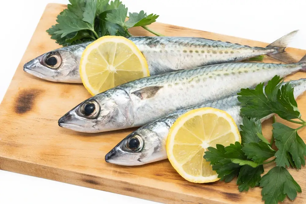 Protein in Sardines