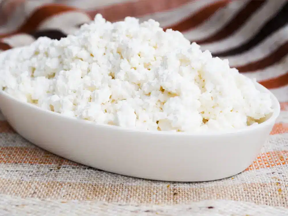 Protein in Cottage Cheese