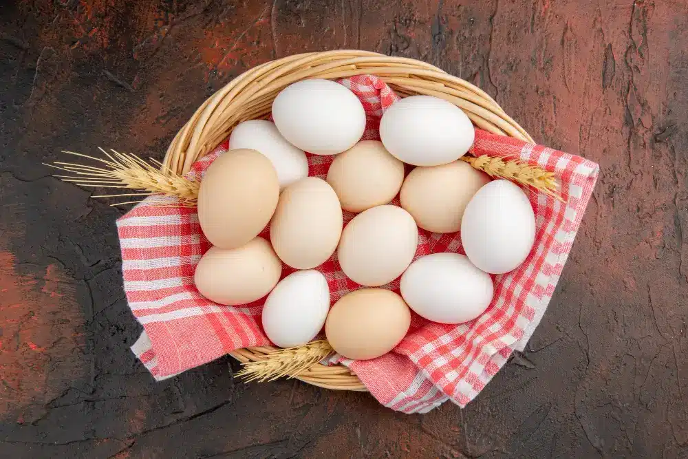 Protein in Eggs