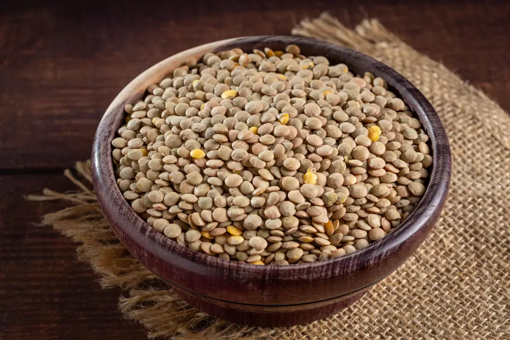 Protein in Lentils